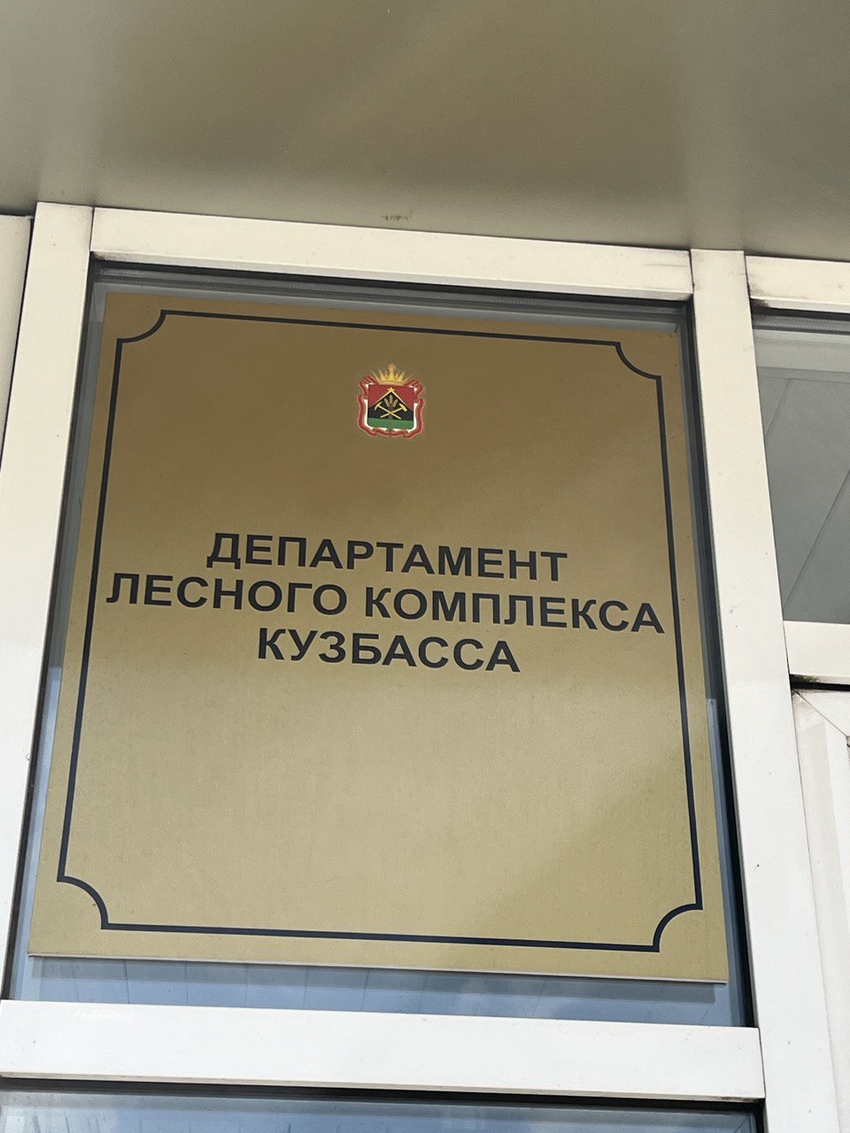 Общественный совет рассмотрел ход реализации нацпроекта «Экология» в Департаменте лесного комплекса Кузбасса