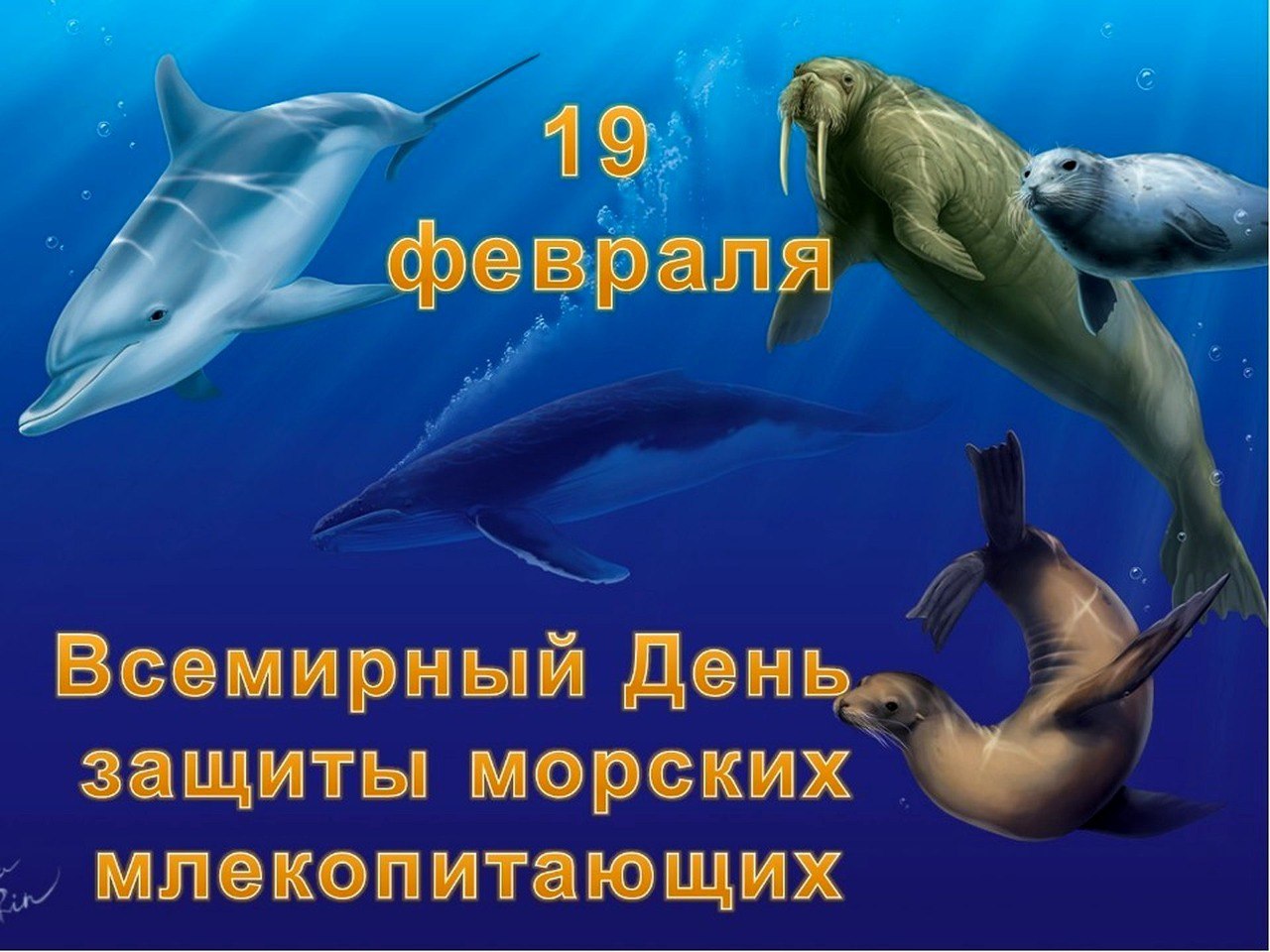 Добрые фильмы о морских млекопитающих